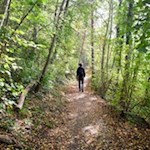 Auf der Karlspromenade flanierte einst der letzte habsburgische Kaiser Karl I.