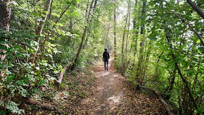 Auf der Karlspromenade flanierte einst der letzte habsburgische Kaiser Karl I.