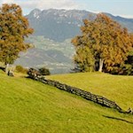Auf dem Weg zum Aussichtspunkt Waldnereck