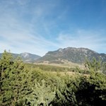 Ausblick vom Hochstand auf dem Pilzeweg