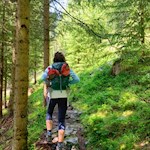 Durch den wurzelbeschlagenen Wald zur Weizgruberalm