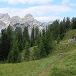 Auf dem Weg Nr. 22A in Richtung Grünwaldalm