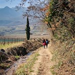 Entlang des Angelbaches zurück zum Kalterer See