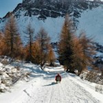 Auf die Kufen, fertig, los!