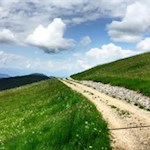 Auf sanften Wegen in Richtung Nigerpass