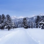 Winterwandern am Würzjoch