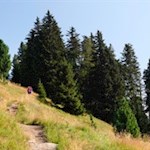 Durch Wiesen und Wälder auf den Sambock