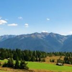 Verträumte Almlandschaft mit dem Peitlerkofel im Hintergrund