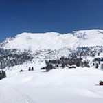 Plätzwiese vor der Kulisse des Dürrenstein