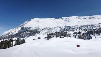 Plätzwiese vor der Kulisse des Dürrenstein