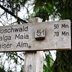 Der Weg Nr. 51 führt zur Moschwaldalm und zur Maiser Alm