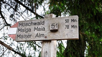 Der Weg Nr. 51 führt zur Moschwaldalm und zur Maiser Alm