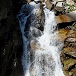 Entlang des rauschenden Trattenbachs zur Göge Alm