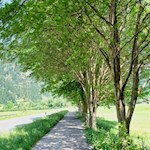 Auf dem asphaltierten Rad- und Spazierweg zurück nach Sterzing