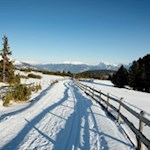 Die linde Wintersonne zeichnet Schatten in den weißen Schnee