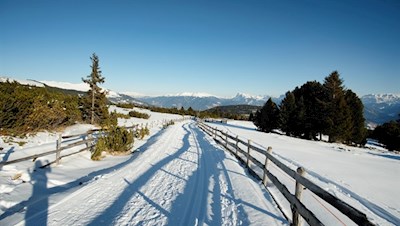Die linde Wintersonne zeichnet Schatten in den weißen Schnee