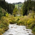 Der erste Teil der Wanderung führt den Gsieser Bach entlang