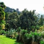 Unser Blick fällt auf Burg Arco