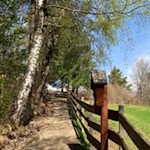 Anstieg durch Wald und Wiesen zum Völser Weiher