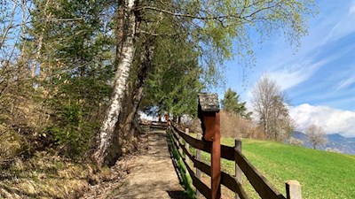Anstieg durch Wald und Wiesen zum Völser Weiher