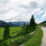 Auf einer der schönsten Hochalmen Südtirols...