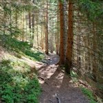 Auf dem Weg zur Gönneralm