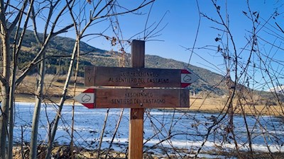 Teile des Weges folgen dem beliebten Keschtnweg