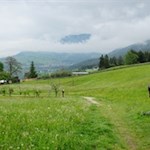 Der Rückweg führt durch grüne Wiesen