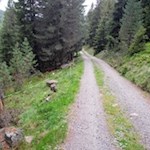 Auf dem Weg Nr. 7 zur Tesselberger Alm