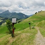 Vor der Kulisse des Peitlerkofel nach Cians