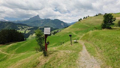 Vor der Kulisse des Peitlerkofel nach Cians