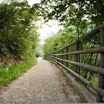 Auf-betoniertem-Wege-zur-Ortschaft-San-Alessandro-hinab