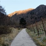 In und um Atzwang wurde bereits zur Zeit der Räter Wein angebaut