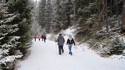 Auf sanften Wegen zur gemütlichen Bacherhütte