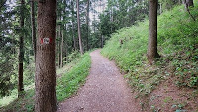 Dank des sanften Wegverlaufes ist diese Wanderung auch für Ausflüge mit Kindern geeignet