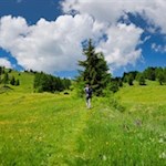 Im Frühsommer verwandeln sich die Wiesen um den Peitler in ein farbenfrohes Blumenmeer