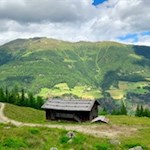 Wengalm vor der Kulisse des Speikboden