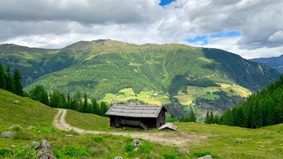 Wengalm vor der Kulisse des Speikboden