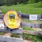 Die Plafötsch Alm und die Hanicker Schwaige laden den Sommer über zur Einkehr