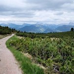 Auf dem aussichtsreichen Panoramaweg