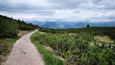 Auf dem aussichtsreichen Panoramaweg