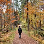 Auf dem Rückweg zum Wolfsgrubener See