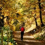 Auf dem Keschtnweg von Unterinn nach Signat