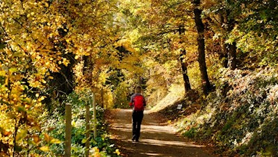 Auf dem Keschtnweg von Unterinn nach Signat