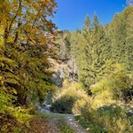 Sanft zieht sich der Wanderweg zur Ruine Straßberg