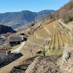 Auf den sonnenverwöhnten Hängen werden schon seit alters her Obst und Wein angebaut