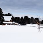 Rinderplatz Hütte im Winter