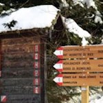 Am Parkplatz folgen wir dem Wanderweg Nr. 1