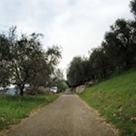 Radweg auf den Monte Brione