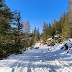 Durch den knirschenden Schnee zur Dürrensteinhütte